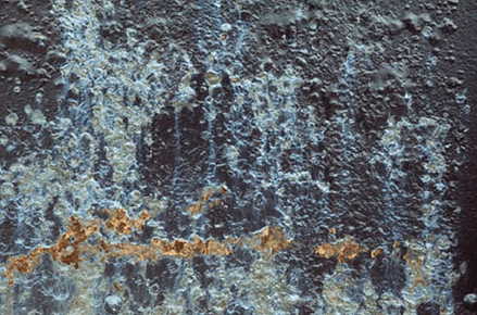 Screen Shot 2017-05-22 at 11.56.43 PM.png