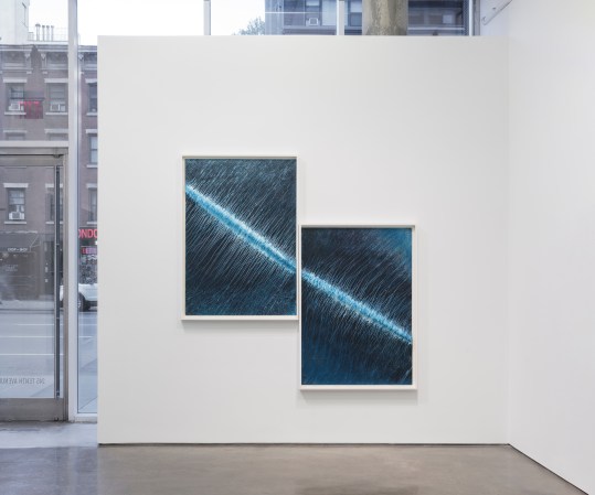 ecotone-2019_east-gallery_9