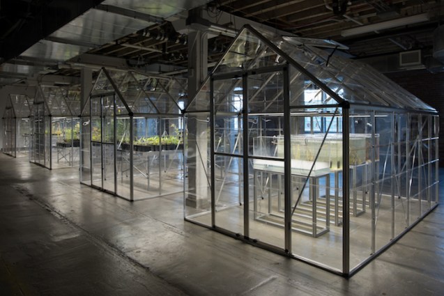 Extinct in New York 04