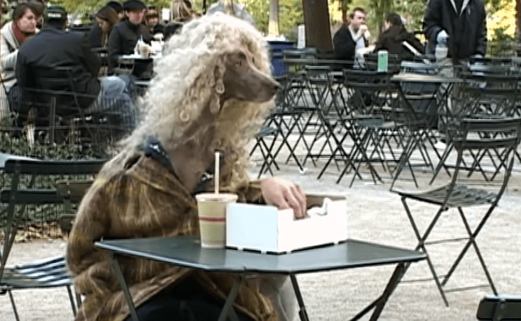 Screen Shot 2020-05-20 at 5.08.34 PM